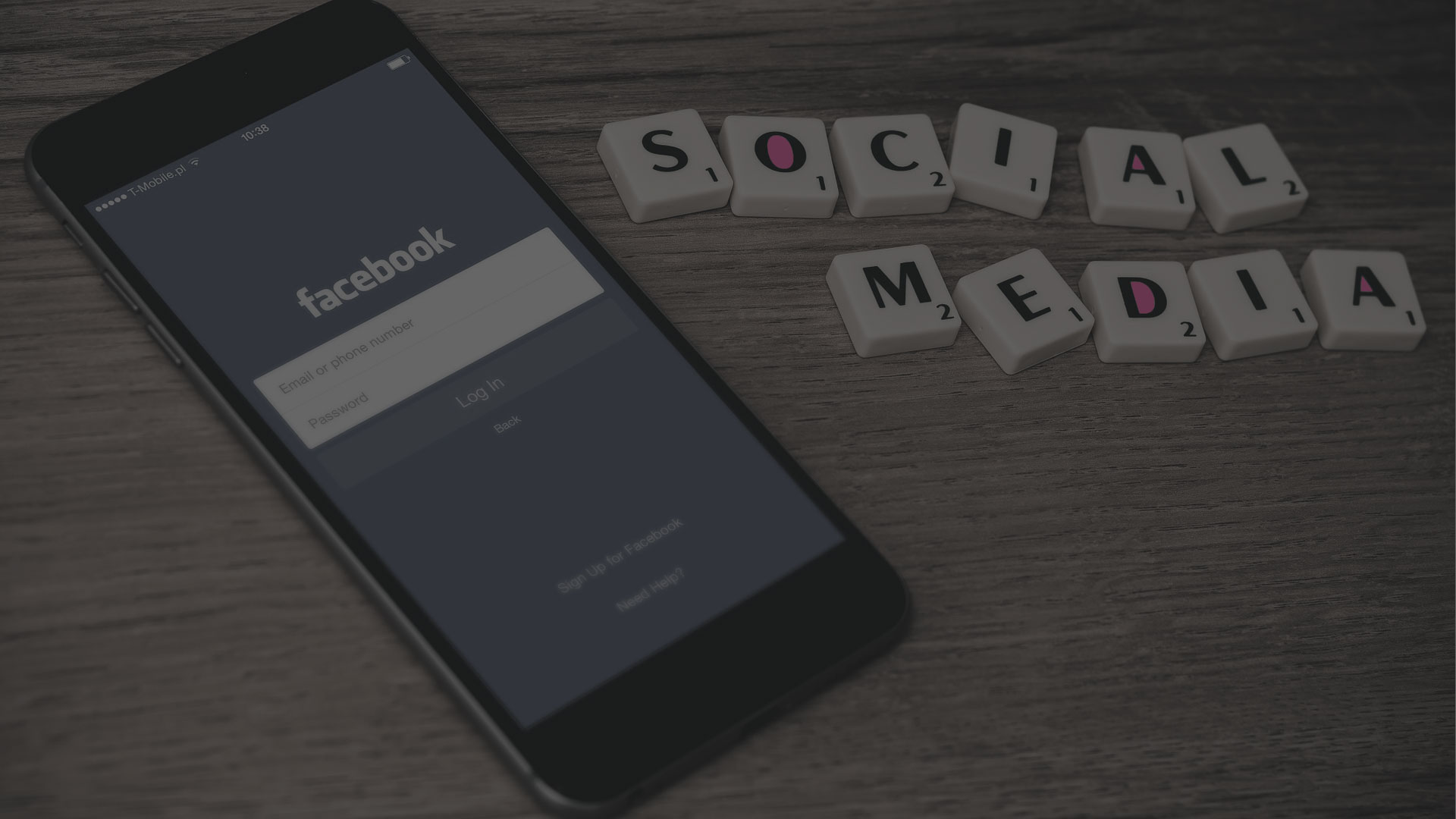 socialisation